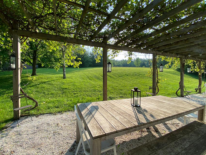 Back porch covered by vines and view of backyard
