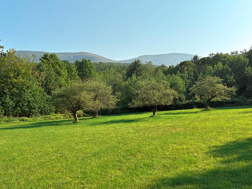 Set at the foot of the Catskill Mountain Range on 14 pristine acres